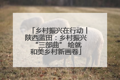 乡村振兴在行动丨陕西蓝田：乡村振兴 “三部曲” 绘就和美乡村新画卷