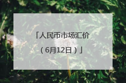 人民币市场汇价（6月12日）