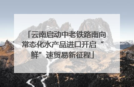 云南启动中老铁路南向常态化水产品进口开启“鲜”速贸易新征程