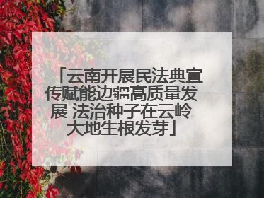 云南开展民法典宣传赋能边疆高质量发展 法治种子在云岭大地生根发芽