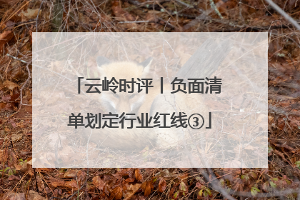 云岭时评丨负面清单划定行业红线③