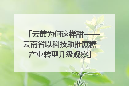 云蔗为何这样甜——云南省以科技助推蔗糖产业转型升级观察