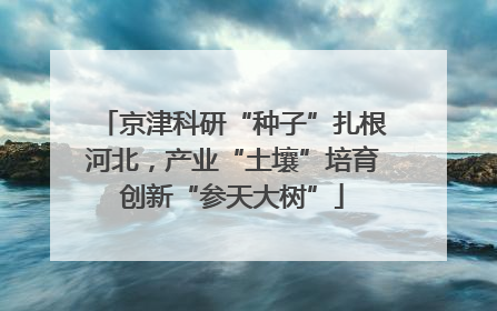 京津科研“种子”扎根河北，产业“土壤”培育创新“参天大树”
