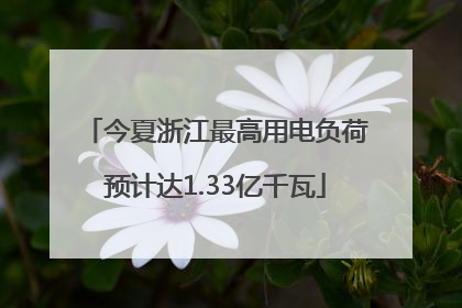 今夏浙江最高用电负荷预计达1.33亿千瓦
