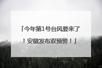 今年第1号台风要来了！安徽发布双预警！