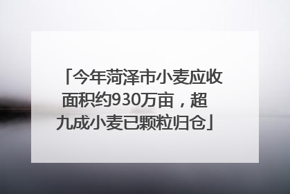 今年菏泽市小麦应收面积约930万亩，超九成小麦已颗粒归仓