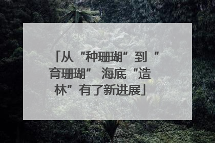 从“种珊瑚”到“育珊瑚” 海底“造林”有了新进展