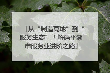 从“制造高地”到“服务生态”！解码平湖市服务业进阶之路