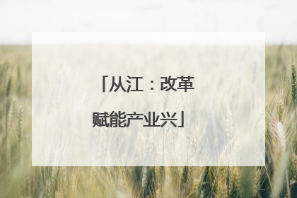 从江：改革赋能产业兴
