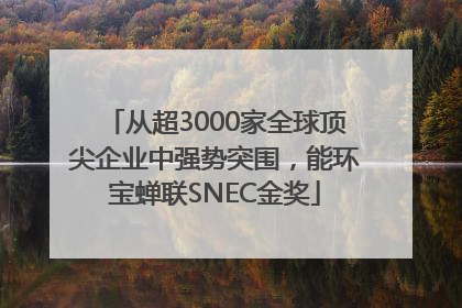 从超3000家全球顶尖企业中强势突围，能环宝蝉联SNEC金奖