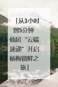 从1小时到5分钟 仙居“云端速递”开启杨梅锁鲜之旅