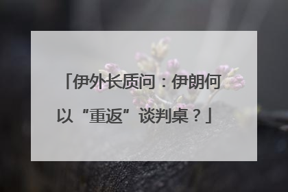 伊外长质问：伊朗何以“重返”谈判桌？