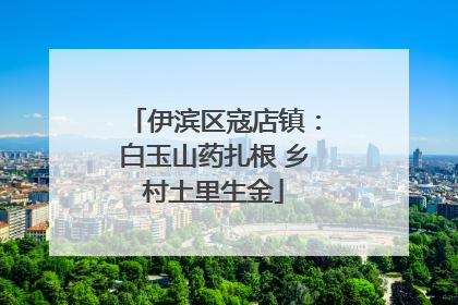 伊滨区寇店镇：白玉山药扎根 乡村土里生金
