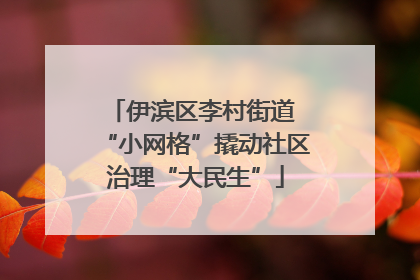伊滨区李村街道 “小网格”撬动社区治理“大民生”