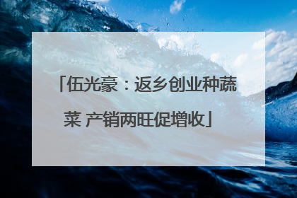 伍光豪：返乡创业种蔬菜 产销两旺促增收