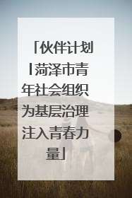 伙伴计划│菏泽市青年社会组织为基层治理注入青春力量