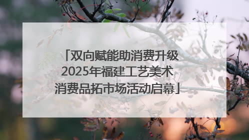 双向赋能助消费升级 2025年福建工艺美术消费品拓市场活动启幕