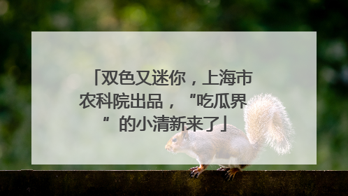 双色又迷你，上海市农科院出品，“吃瓜界”的小清新来了