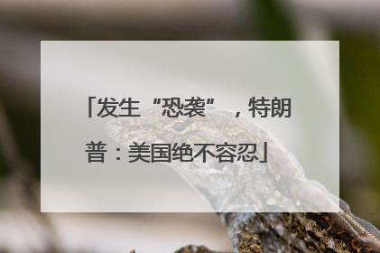 发生“恐袭”，特朗普：美国绝不容忍
