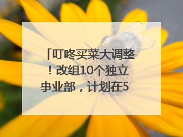 叮咚买菜大调整！改组10个独立事业部，计划在5月完成App端全面改版