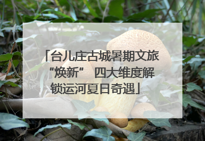 台儿庄古城暑期文旅“焕新” 四大维度解锁运河夏日奇遇