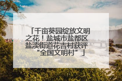 千亩葵园绽放文明之花！盐城市盐都区盐渎街道花吉村获评“全国文明村”