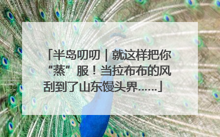 半岛叨叨｜就这样把你“蒸”服！当拉布布的风刮到了山东馒头界……
