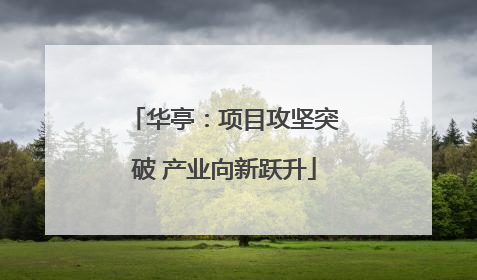 华亭：项目攻坚突破 产业向新跃升