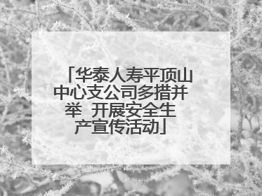 华泰人寿平顶山中心支公司多措并举  开展安全生产宣传活动