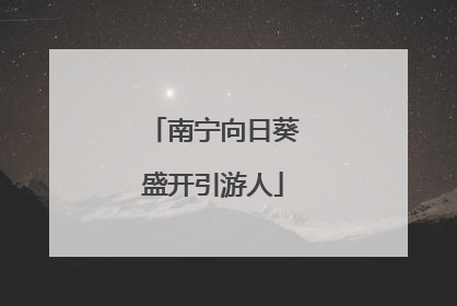 南宁向日葵盛开引游人
