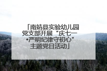 南靖县实验幼儿园党支部开展“庆七一•严明纪律守初心”主题党日活动