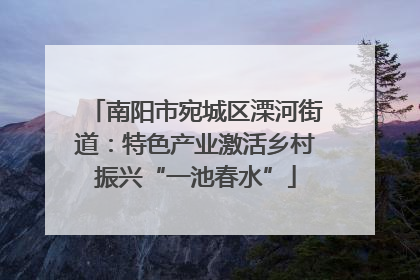 南阳市宛城区溧河街道：特色产业激活乡村振兴“一池春水”