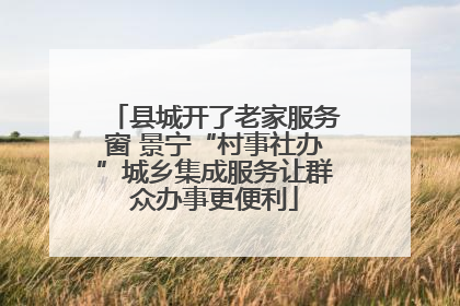 县城开了老家服务窗 景宁“村事社办”城乡集成服务让群众办事更便利