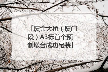 厦金大桥（厦门段）A3标首个预制墩台成功吊装