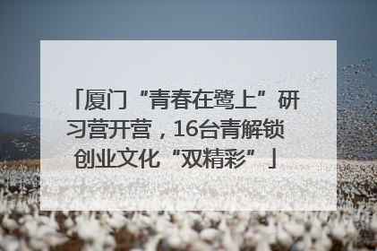 厦门“青春在鹭上”研习营开营，16台青解锁创业文化“双精彩”