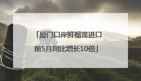 厦门口岸鲜榴莲进口 前5月同比增长10倍