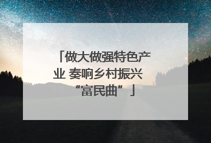 做大做强特色产业 奏响乡村振兴“富民曲”