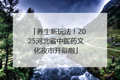 养生新玩法！2025河北省中医药文化夜市开幕啦
