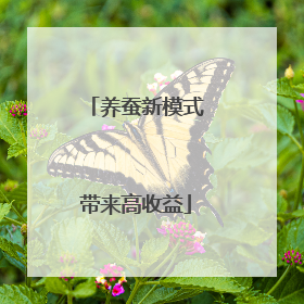 养蚕新模式带来高收益
