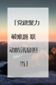 党建聚力破难题 联动防汛显担当
