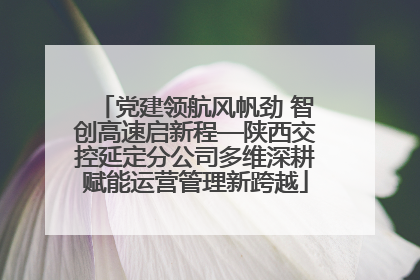 党建领航风帆劲 智创高速启新程—陕西交控延定分公司多维深耕赋能运营管理新跨越