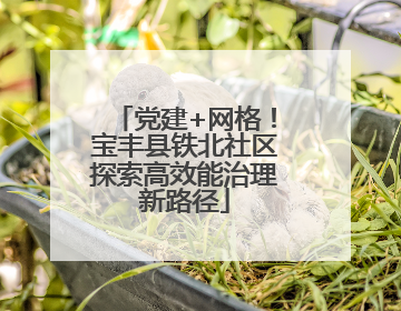 党建+网格！宝丰县铁北社区探索高效能治理新路径