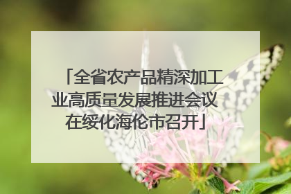 全省农产品精深加工业高质量发展推进会议在绥化海伦市召开