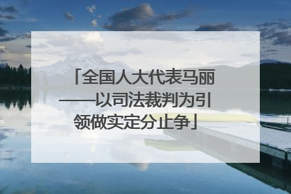 全国人大代表马丽——以司法裁判为引领做实定分止争