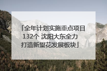 全年计划实施重点项目132个 沈阳大东全力打造新望花发展板块