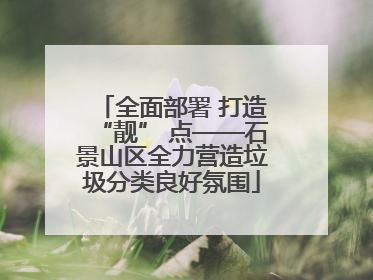 全面部署 打造“靓” 点——石景山区全力营造垃圾分类良好氛围