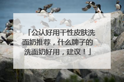 公认好用干性皮肤洗面奶推荐，什么牌子的洗面奶好用，建议！
