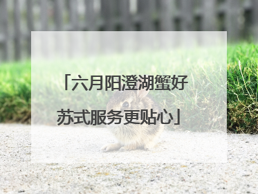 六月阳澄湖蟹好 苏式服务更贴心
