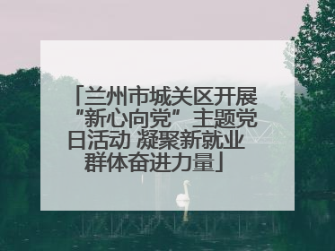 兰州市城关区开展“新心向党”主题党日活动 凝聚新就业群体奋进力量