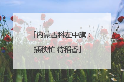内蒙古科左中旗：插秧忙 待稻香